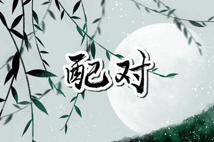 八字紫微斗数排盘 测命盘 紫微星免费排盘 热卜紫微斗数排盘