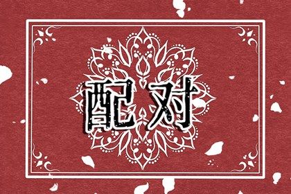 O型与AB型的相处观察