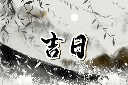 八字紫微斗数排盘 测命盘 紫微星免费排盘 热卜紫微斗数排盘