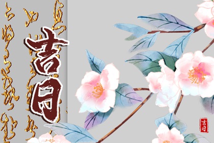 建日可以做哪些事