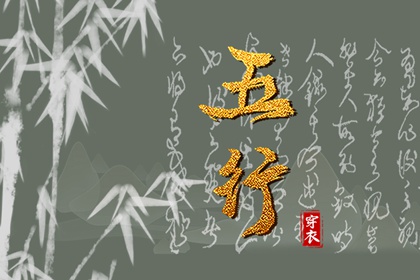 纳音五行是什么
